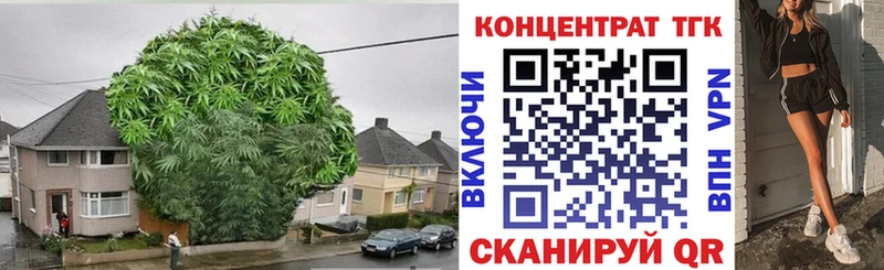 Купить закладки Новотроицк Дистиллят ТГК Wax
